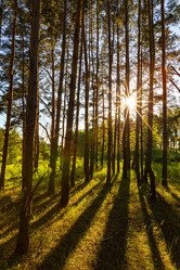 Similar image 21050705