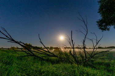 Similar image 21050706