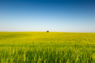 Similar image 21049443