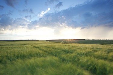 Similar image 21049446