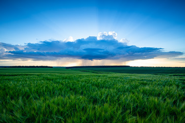 Similar image 21049447