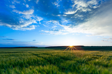 Similar image 21049448