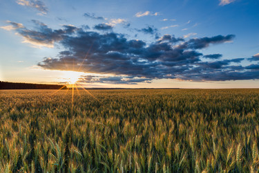 Similar image 21049449