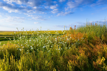 Similar image 21049451