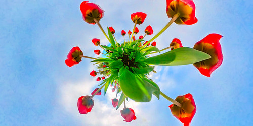 Similar image 21050707