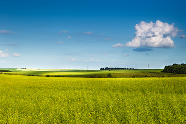 Similar image 21049452