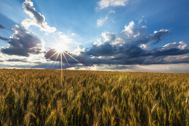 Similar image 21049453