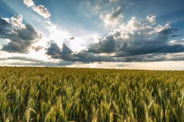 Similar image 21049454