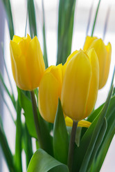 Similar image 21053517