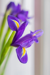 Similar image 21053519