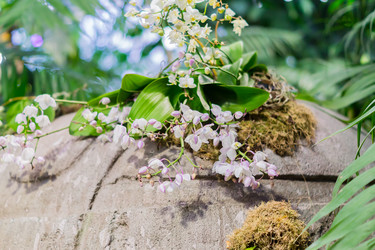 Similar image 21053520