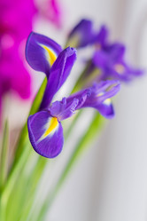 Similar image 21055373