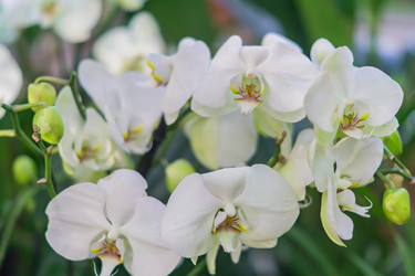 Similar image 21055374