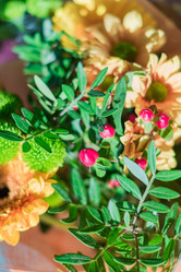 Similar image 21055377