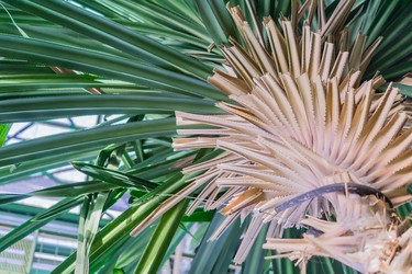 Similar image 21055379