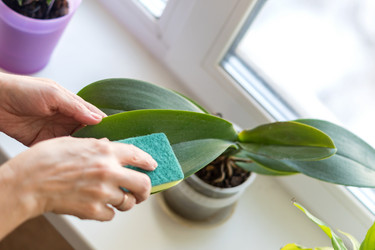 Similar image 21055381