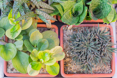 Similar image 21055383