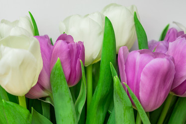 Similar image 21055384