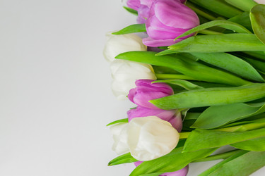 Similar image 21060931