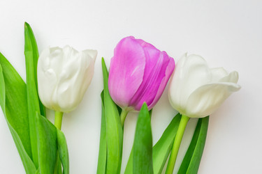 Similar image 21060933