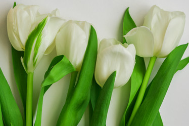 Similar image 21060935