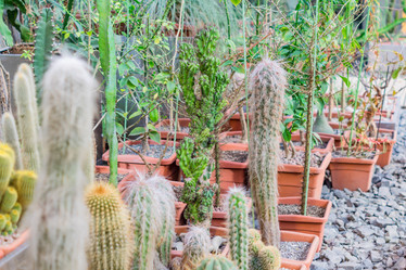 Similar image 21060936