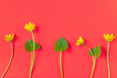 Similar image 21060937