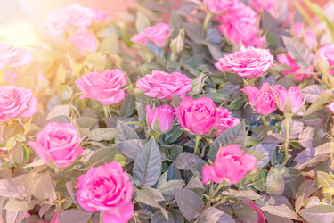 Similar image 21073265