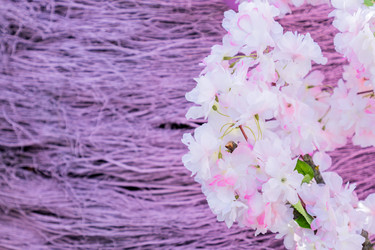 Similar image 21073276