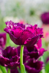 Similar image 21073280