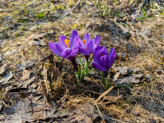 Similar image 21078183