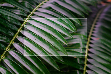 Similar image 21078184