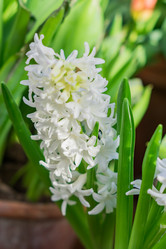 Similar image 21078186