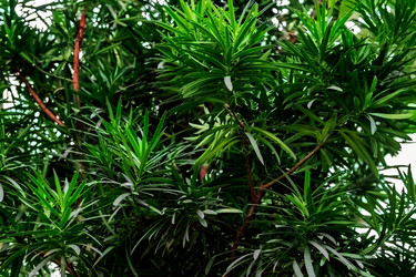 Similar image 21078395