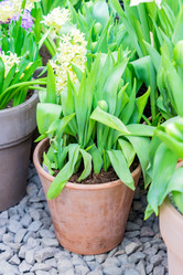 Similar image 21078396