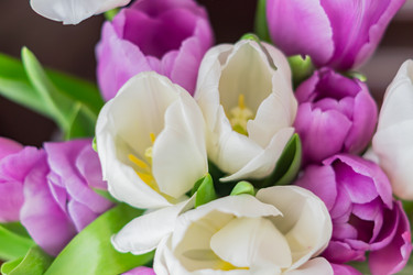 Similar image 21078398