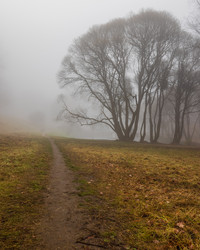 Similar image 21050709