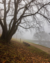 Similar image 21050710