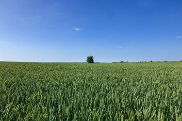 Similar image 21049456