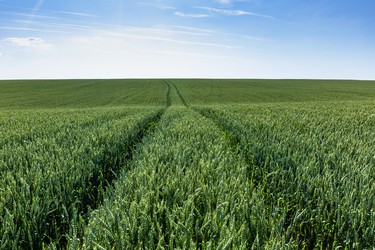 Similar image 21049458