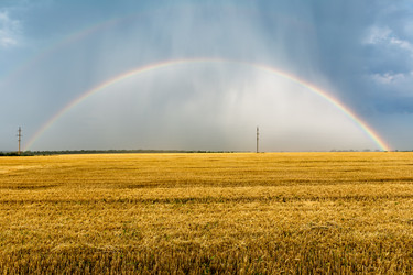 Similar image 21049459