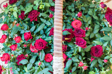 Similar image 21055391