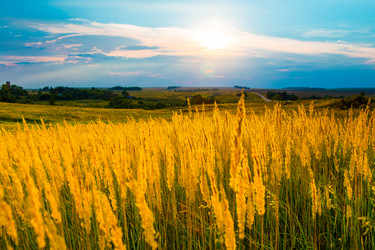 Similar image 21049471