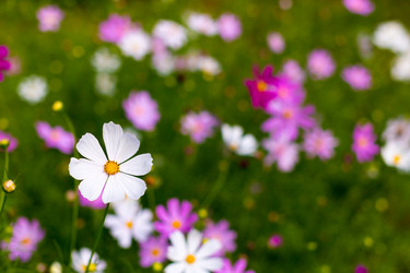 Similar image 21050718