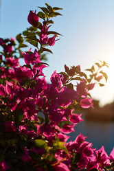 Similar image 21050720