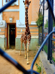 Similar image 21050721