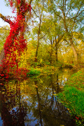 Similar image 21049473