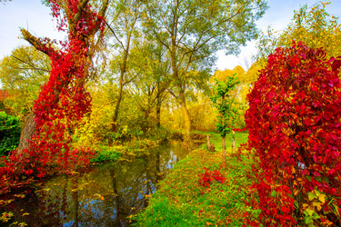 Similar image 21049474