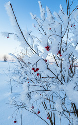 Similar image 21025492