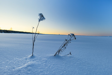 Similar image 21025493